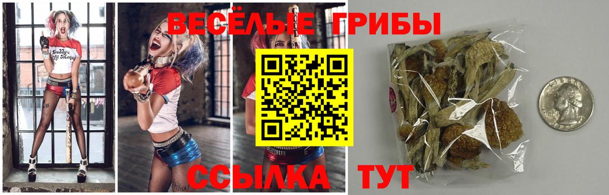 Псилоцибиновые грибы MAGIC MUSHROOMS  Вход с VPN  Зеленодольск 